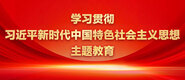 骚逼嫩流水学习贯彻习近平新时代中国特色社会主义思想主题教育_fororder_ad-371X160(2)